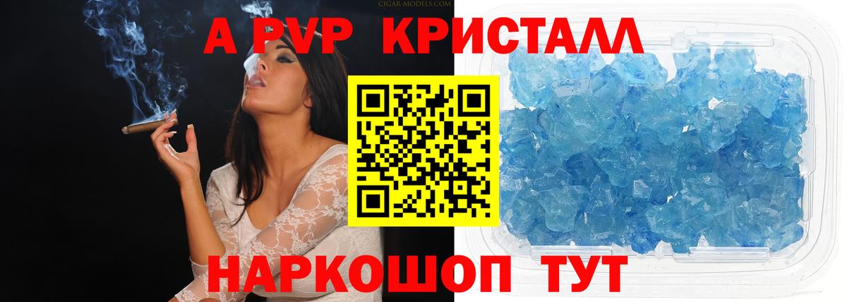 A PVP крисы CK Гай
