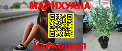 стафф Малгобек