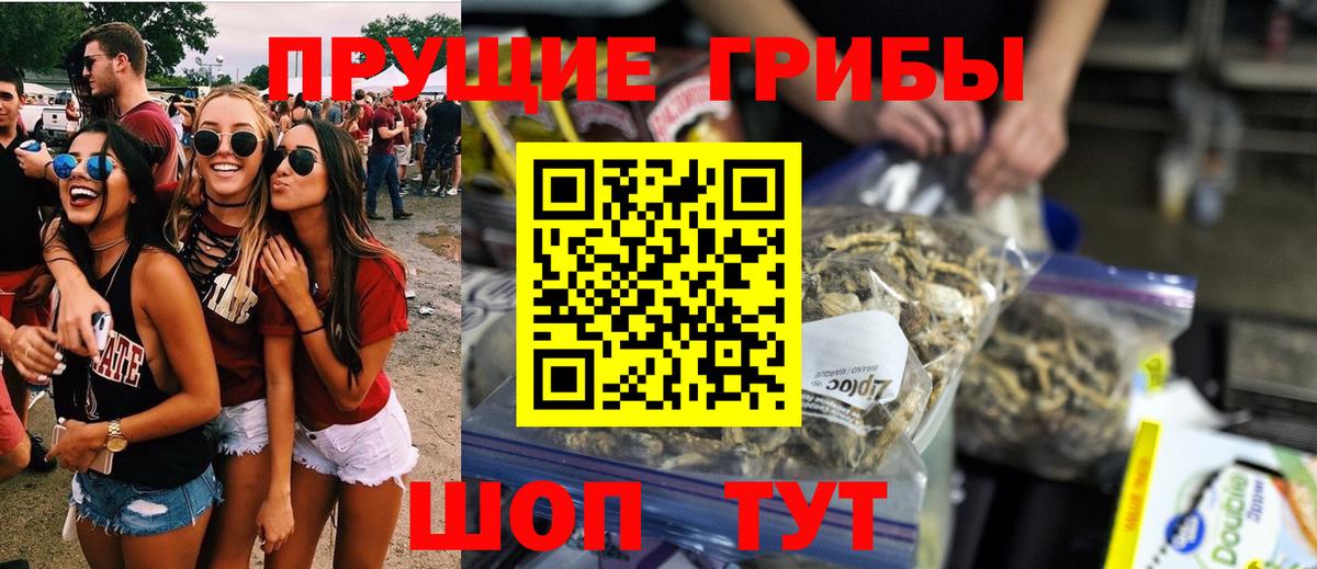 Псилоцибиновые грибы Psilocybine cubensis  Вход с VPN  Галлюциногенные грибы Magic Shrooms  Гай 